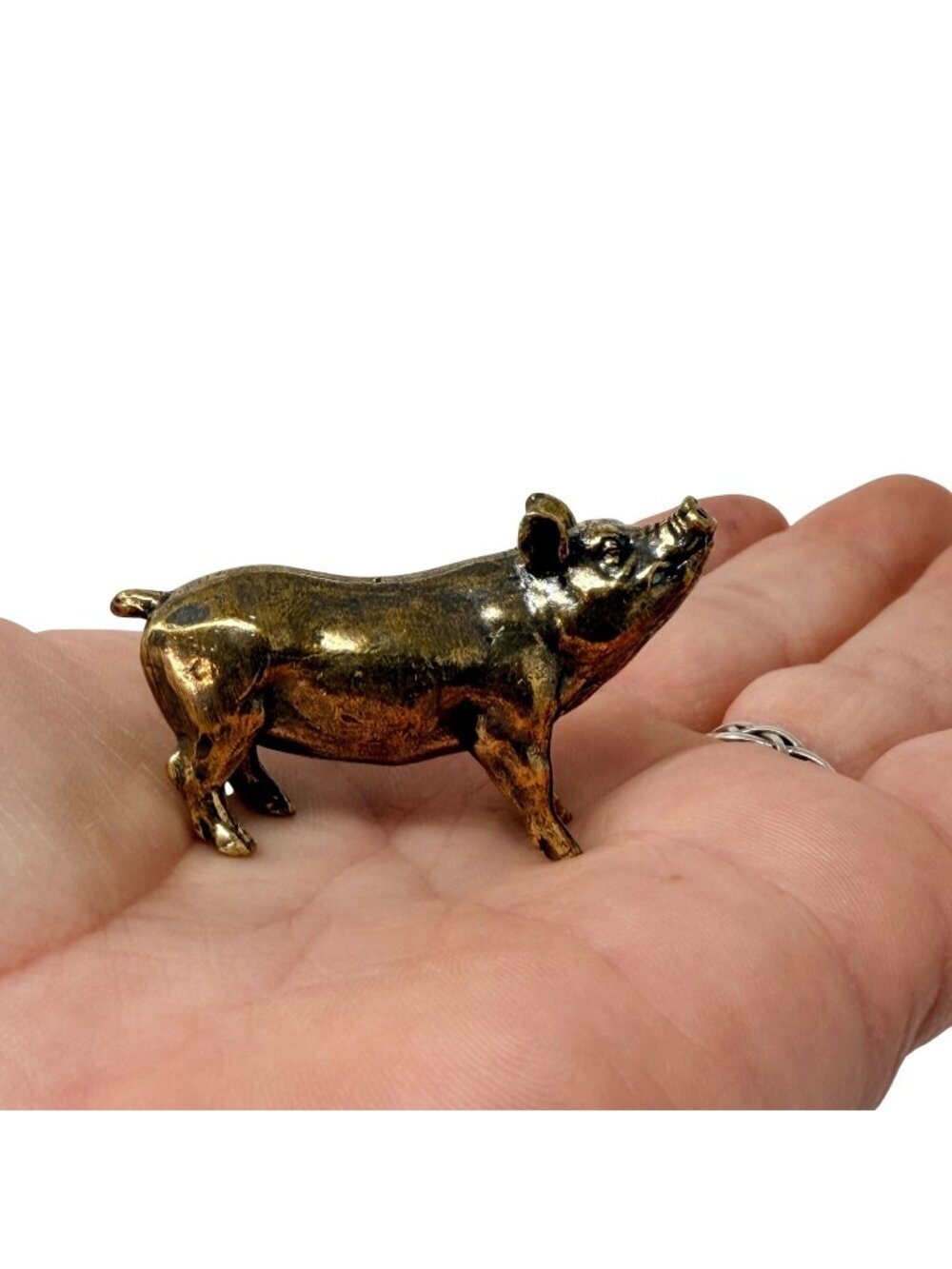 Brass Pig Spirit Animal Figurine Wealth‎ Prosperity Luck Altar Totem